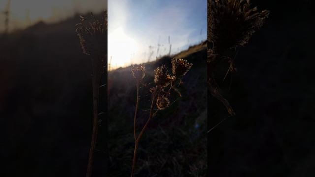 Закат