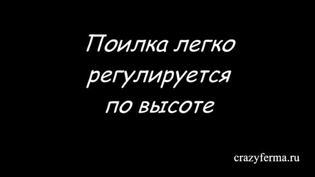 Брудер для обогрева цыплят _Профессионал_ Престиж