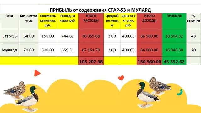 Сколько я заработал на утках: МУЛАРД и СТАР-53. Мое Подворье