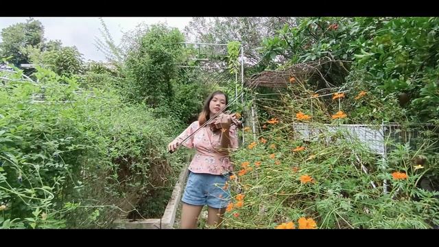 Angel Baby - Troye Sivan || Violin Cover