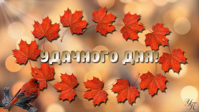 С добрым утром ! С милым днем!