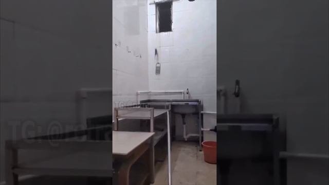 РЖАКА НА КУХНЕ???????????