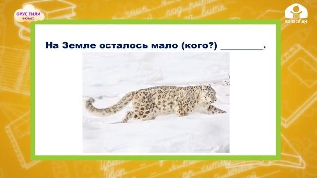 4-класс | Орус тили | Много или мало?
