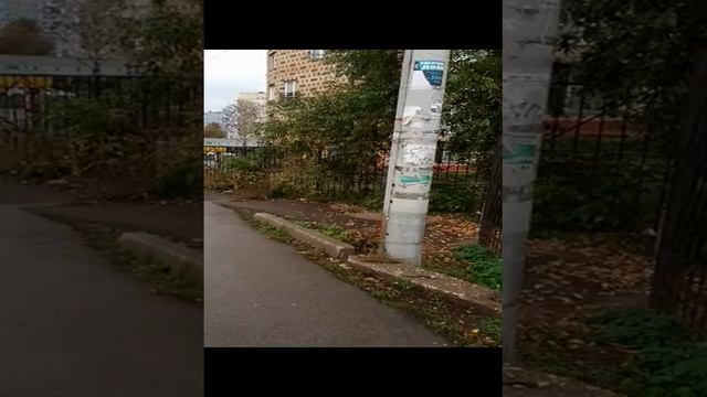 Я и Lizzy иду домой