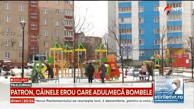 EXCLUSIV Patron, câinele genist al Ucrainei
