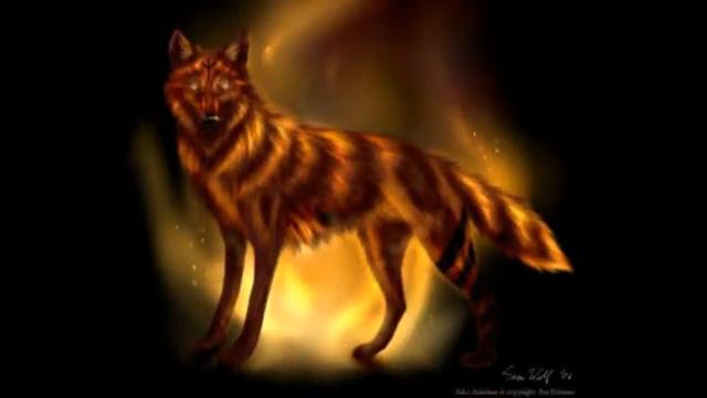 Wolf - закон стаи
