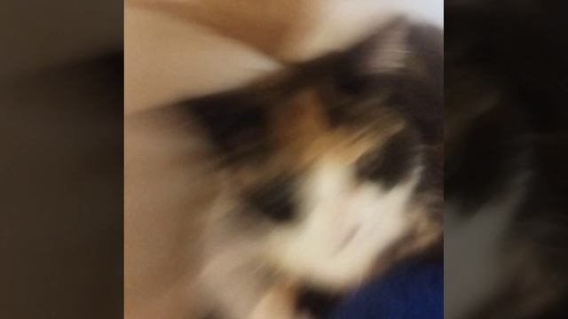1000014278.mp4
