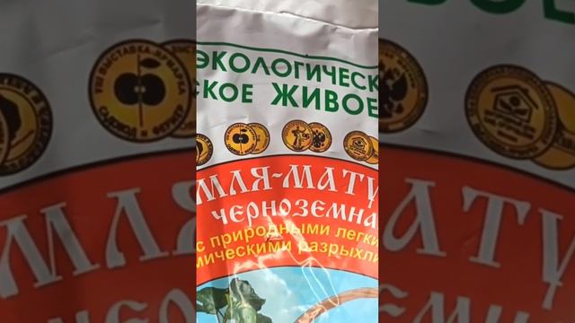 Рассаде очень понравится #garden #сад #огород #gardening