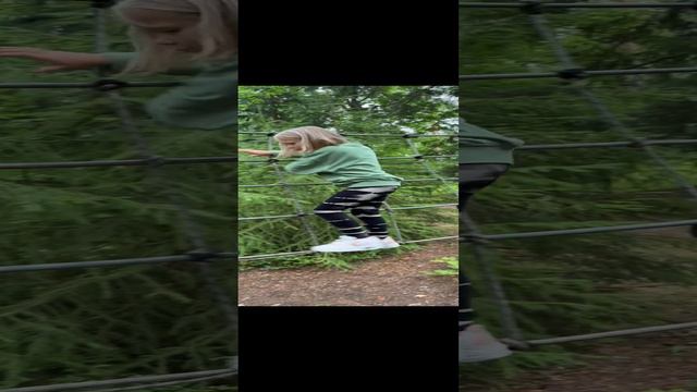 ПОЛ- ЭТО ЛАВА 2024