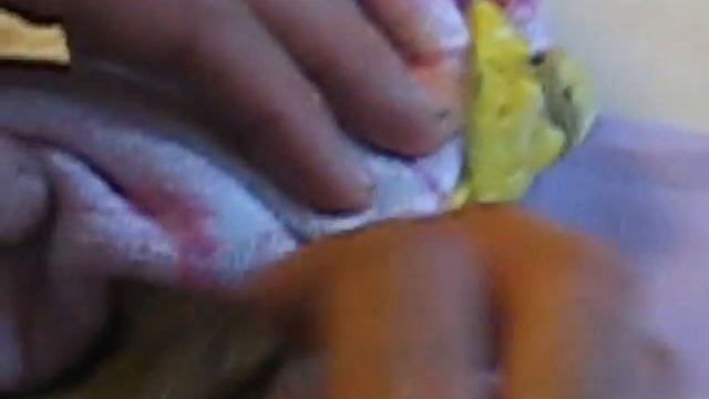 Помощь в сносе яйца