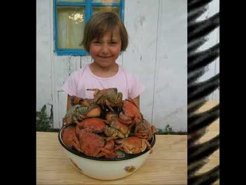 Слайд-Шоу. Крым, лето 2006
