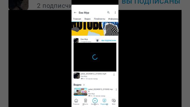 1000048484.mp4