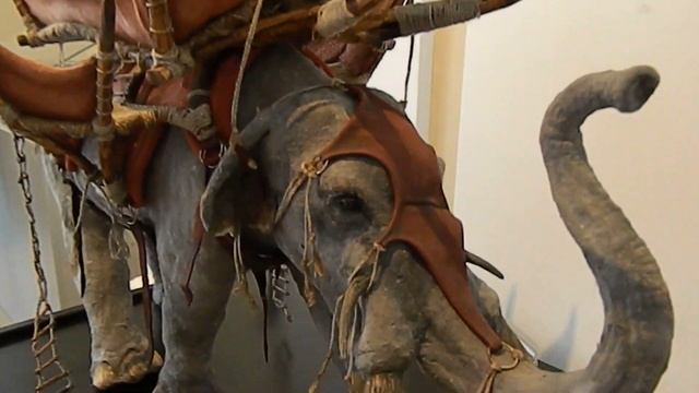 Интересная выставка в Краеведческом музее.