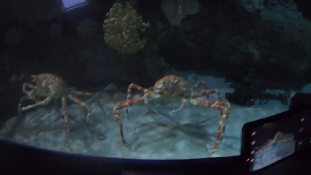 Приключения на Фукуоке, день 02