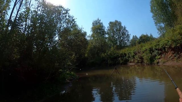 Тенкара  Сравнение удочек 5 5, 6 4, 7 3 длиной 360