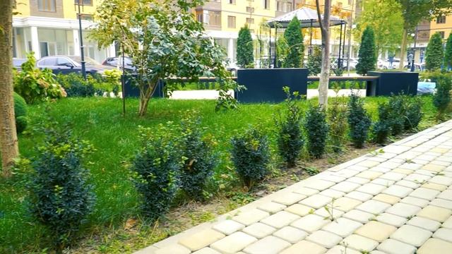 Озеленение двора, ландшафтный дизайн
