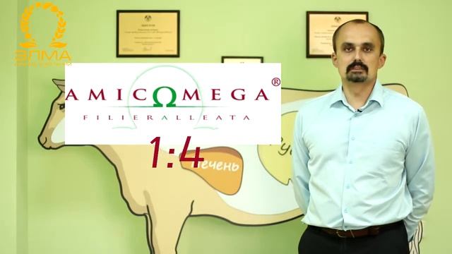 Как мы решаем проблему кетоза у крупного рогатого скота