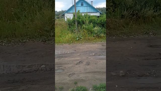 [Белорусский дурак]заправляет этот фраер