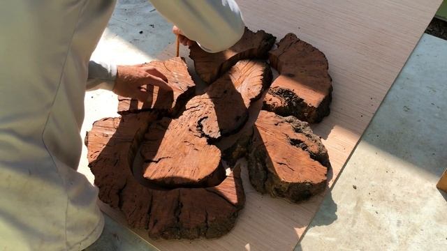 wood burl turned into wall art