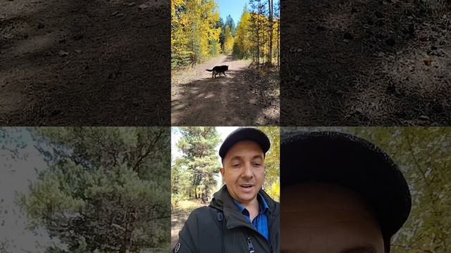 Всему свое время. Обочины. Игорь