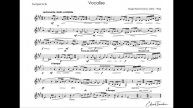 Rachmaninov, Sergei - Vocalise - Sergei Nakaryakov  trumpet Bb