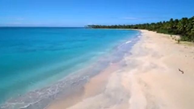 Soothing music for nerves ? Therapeutic music for the heart and blood vessels, relaxation