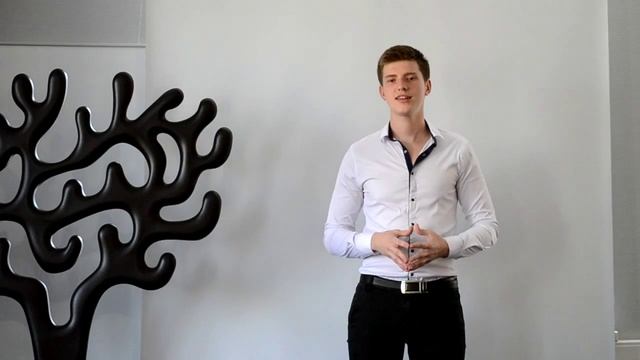 1-й урок Бизнес - школы VILSPIK. Выбор ниши. Резюме проекта.