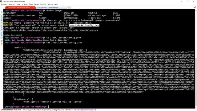 Secure Authentication to AWS ECR Repositories for Docker CLI with Credential Helper | Security