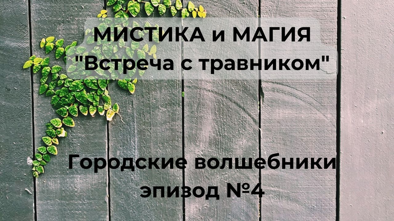Встреча с травником