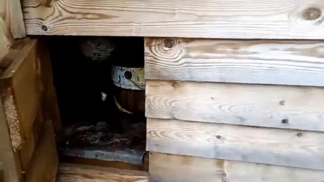 Как избавиться от ос