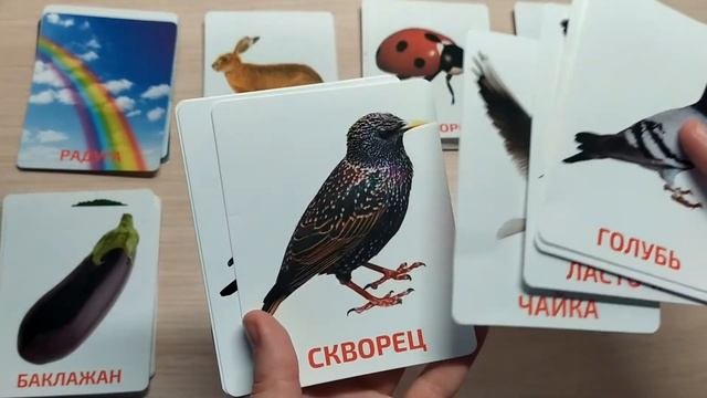 Развивающие карточки Домана/ от 6 мес до 6 лет/Обзор развивающих карточек