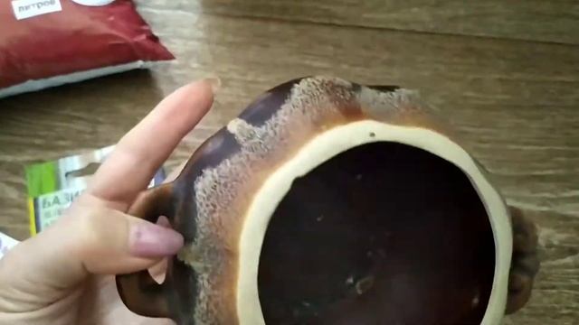 базилик дома. выращивание базилика на подоконнике.