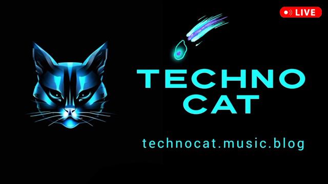 DJ CAT - техно музыка 2025