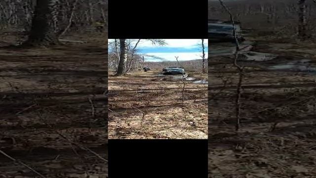 ховер клуб 74 развлекается