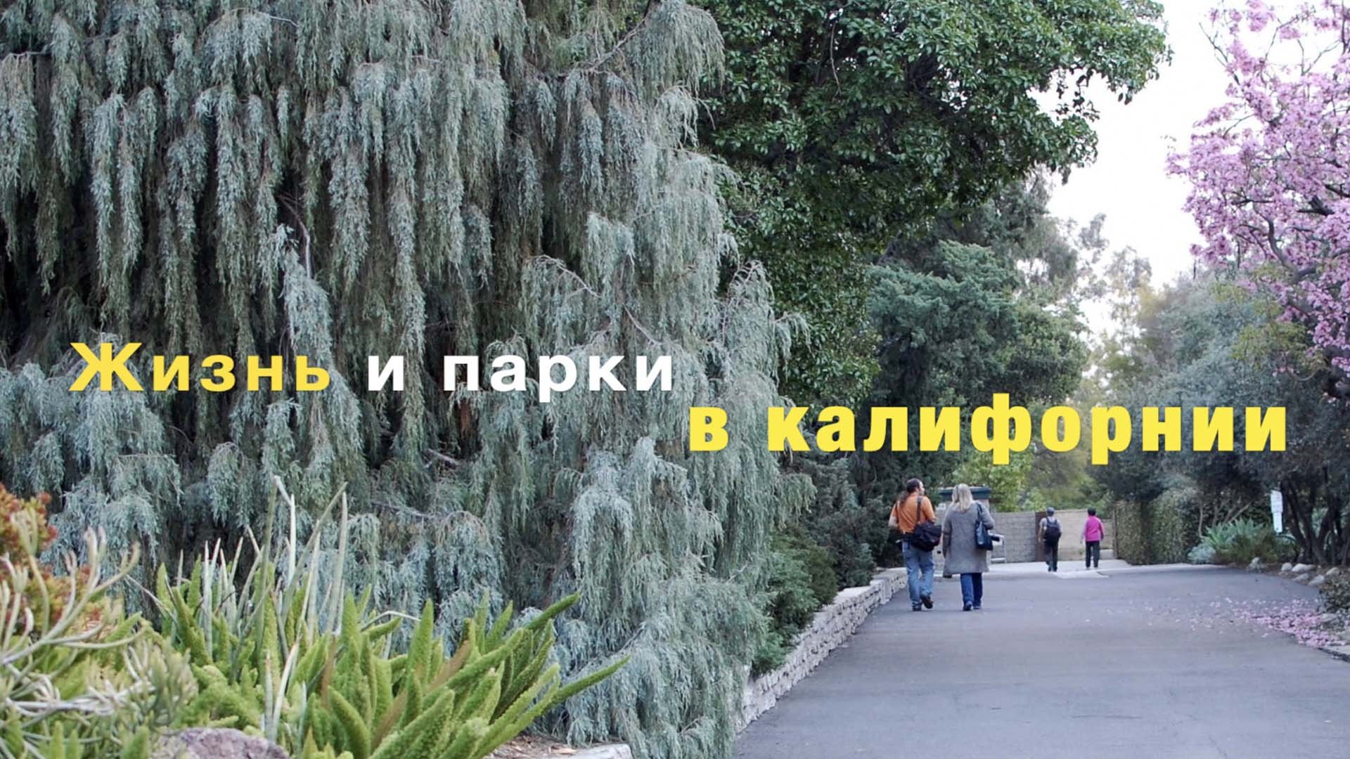 ПАРКИ Калифорнии