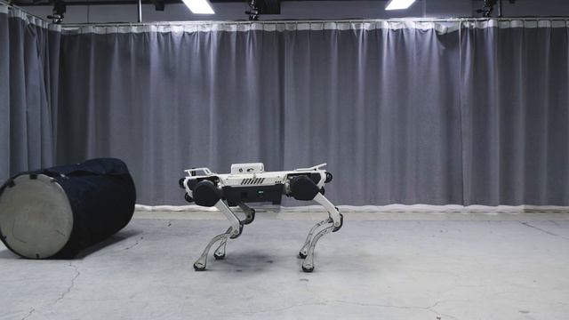 Инженеры Deep Robotics научили робособаку X30 избегать незнакомцев, других случайных объектов.