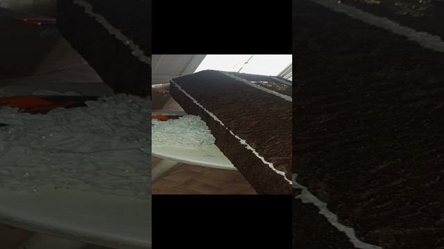 1000107859.mp4