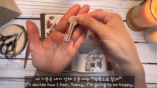 "이상한 나라의 엘리스"(Alice in wonderland) I scrapbooking I다꾸 I ASMR I diary I Vintage