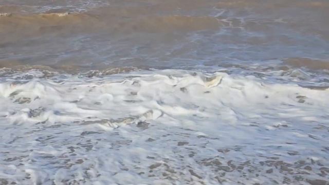 Азовское море. Пляж "Козачий берег". Станица Должанская, Ейский район, Краснодарский край.