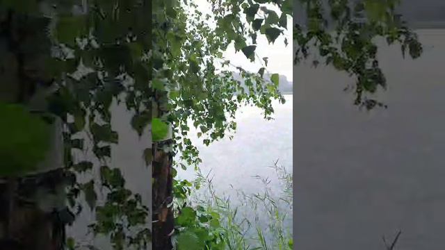 Сильный ливень вливает на водоеме Карпятник в Подмосковье