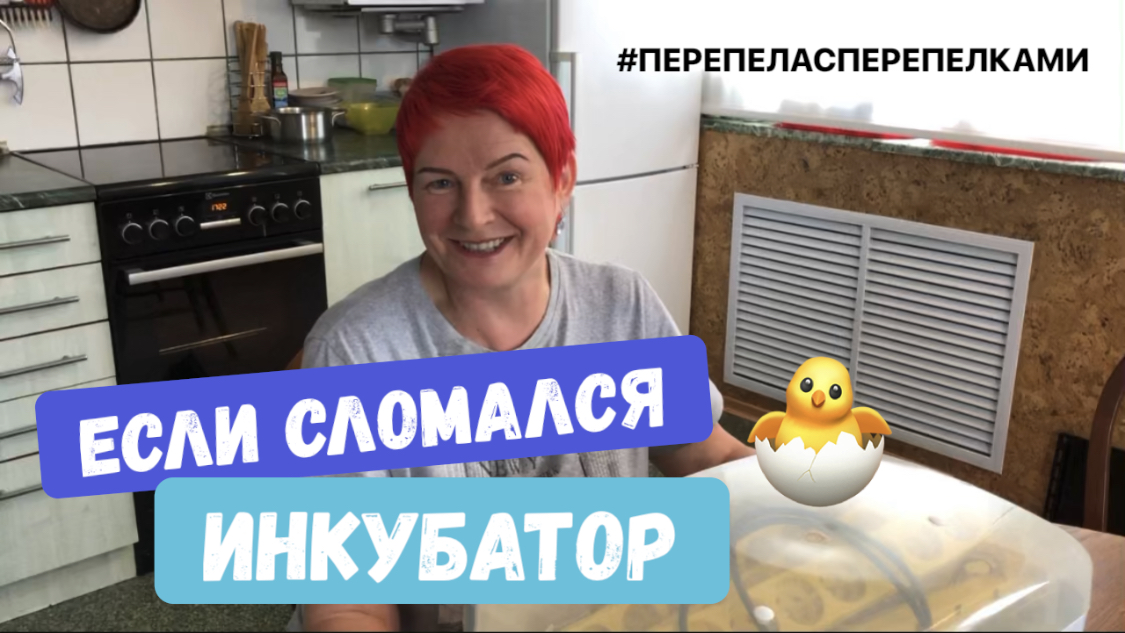 Сломался инкубатор. Инкубация перепелов.