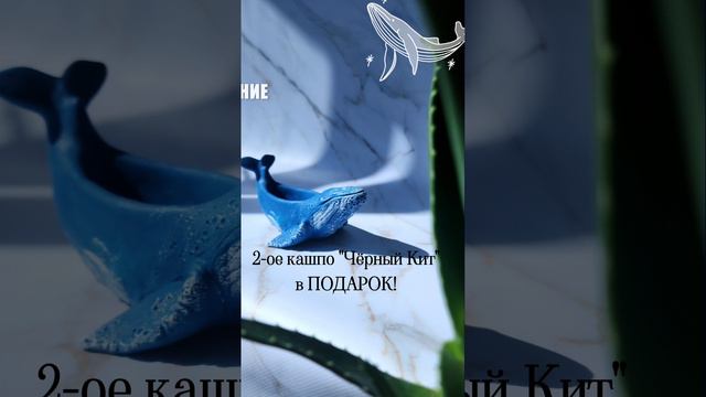 Щедрый август здесь ⤵️