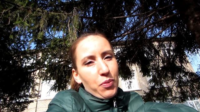 Влог Арт-завтрак, Котовлог, Суп-пюре из тыквы