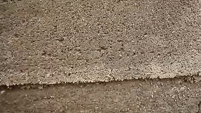 курятник из опилкобетона по методу Дрона