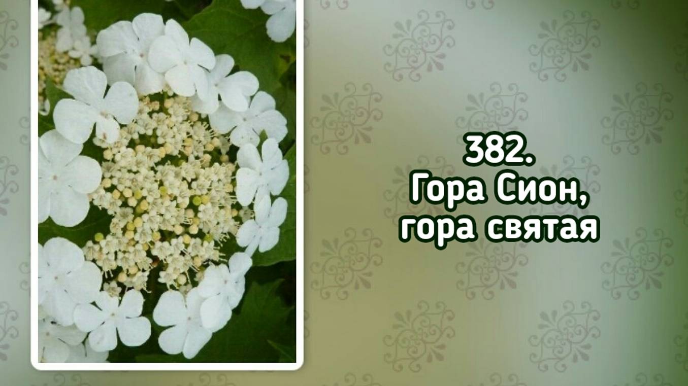 Гимны надежды 382 Гора Сион, гора святая (-)