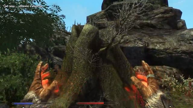 Старик Листает: Крайнеба - Enderal #2