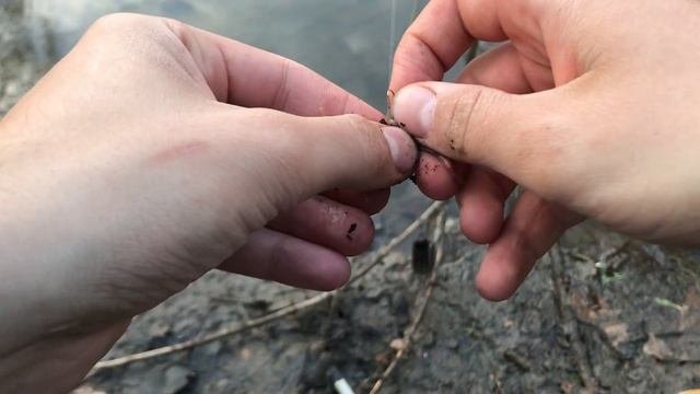 Ловля карася весной. Рыбалка на реке.  Рыбалка в Нижнем Новгороде 2022. Рыбалка весной.