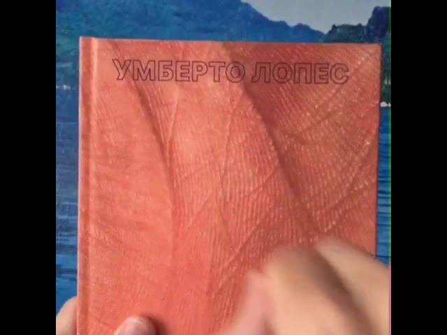 Твёрдая обложка