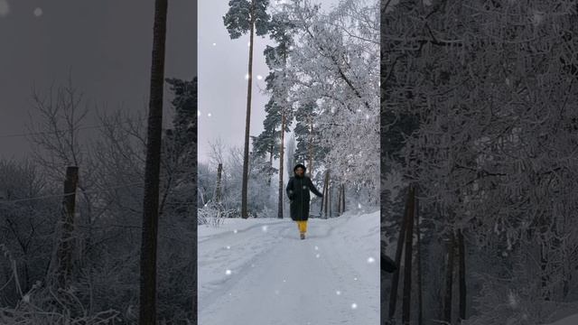 ?❄️Снежный путь❄️?