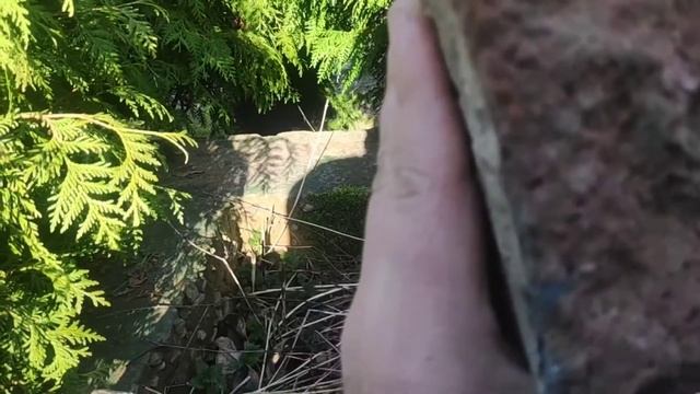 При монастыре в Брестской крепости будет музей